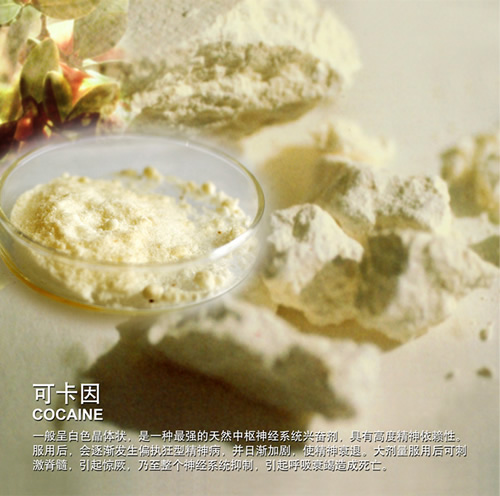 可卡因