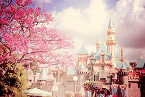 |ʿ|ʿᘷ@޽1982λձ|Ԗ|ǧ~hְI