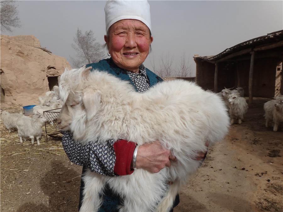 Sandriverrq피ƷƵDNA
ЇrqƷSAND RIVERx피̌WԺ̌W_{Wϸ̌WԺړP-Ͽء˹͢Jɞ߂˳ɞ피ƷƵDNA...[Ԕ]