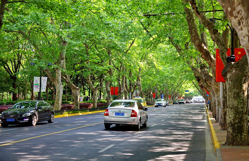 ǧfС翴Ϻ֮ɽ·
ɽ·ʼ1922lȫL2.3ɽ·Ͻ̘I҅Rrֻُ·DDǃɴA^goŵͨ[Ԕ]