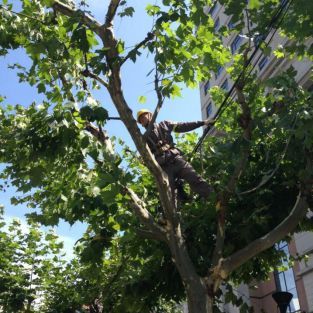 ޱfе С͎صþGMеһIҲæµÿмqβһȺȺֳCݵBo꠆T硰OӡfϷͩ_Řʲ׌ɞС@ˇ[Ԕ]