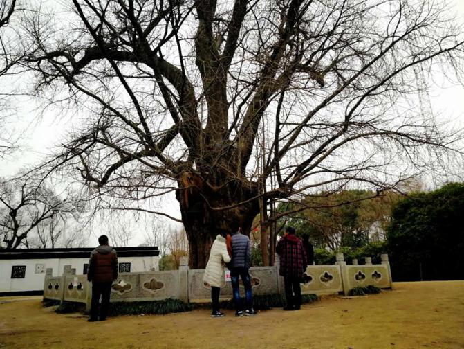 0001̖w20ֵϺζ^ͤ悾@ôһǧŘHyӘ֮ϺŘ֮ÿ11е12³yӘĕrMĿNο͑Ľ[Ԕ]