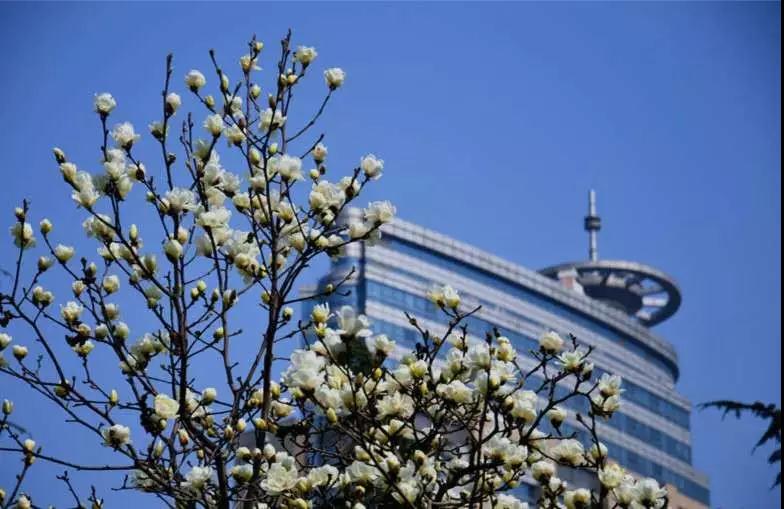 ÿĻô{ʲômл
ɫmʹ`šʮMgLǡɫm硰_ÿ񶼕@ϲذlFʹΨСm_ˡ[Ԕ]