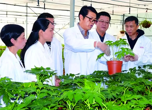 300NǧN,@Щ"ˮ"ֲ?ӰֲLҪؾcˮֺ͜ضȵȚlͬҪăӳ̶wo֪ǿͨ^NֲıFо[Ԕ]