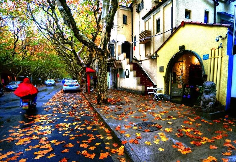 ͩ~󷿡@Rhlʮd挍
ÿﶬ֮Hеȵķͩůꖵӳrо֮g@Ãemtɫ~ԊSh⻯һʱMAĚWʽ[ڡ[Ԕ]