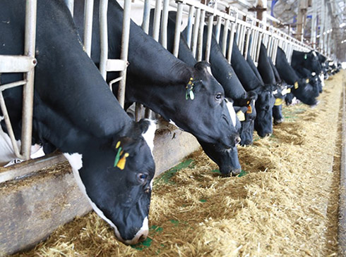 Iذ꽳 IИI¸߶ݞϺɽһcIɽNţ㵽@ﶵһȦӋ^Ҫˡ[Ԕ]