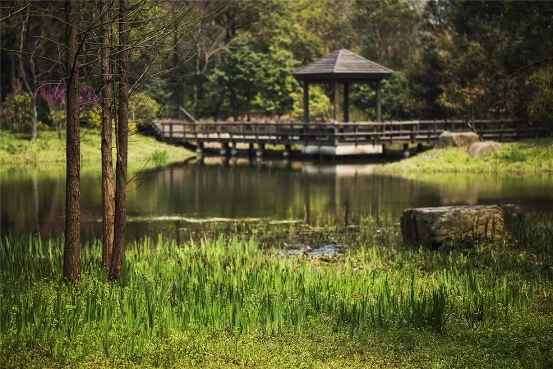 ֪Ϻˮ·Tԭ@ǳеľGɫƬ
ʮ֮ǰIɭֹ@ڵĵط߀һƬͿɳλSֽL͖|ʮ䓕r˂ˮŵ[Ԕ]