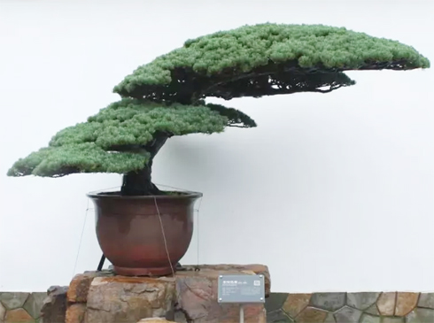 · Ž؞ͨɾͺ辰 
@́S@֪҂qLۺָ辰@һnɸп

S@Ĵ_вٺÖ|һԑ

ȫ锵辰ˇgMѽۺ߀ϲgrr@߿Ϻֲ@辰@ĸλеġS@to֪@ˇS˽һ@Sһ@

[Ԕ]