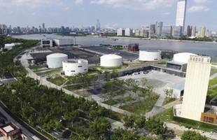 δсϺȼȫ׷AI