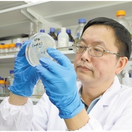 ܊FꠄΗlȾɫw˼
пԺֲƌW׿Խ/ֲBо܊FڇH״˹ˆΗlȾɫw˼ˌμᄾƽĸȻʮlȾɫw[Ԕ]