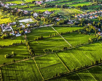 2019悹̖ΰl悸һ  Ӆ^C4Sȁ悽ֵ4ε܊ܗ´ֵtϰΔ_7СףR  ^18lwHCĂSLdϰΔϰ4ҸȫlչĂSȶܰ  WՈ˳^Ld悡LdС҂18lͻ؇ġ[Ԕ]