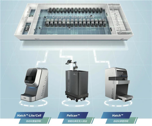 cӱ͜ش惦cڌFԄӻܻgڸVtđ似g܉ȾPӱı;NıṩӰȫЧĽQ[Ԕ]