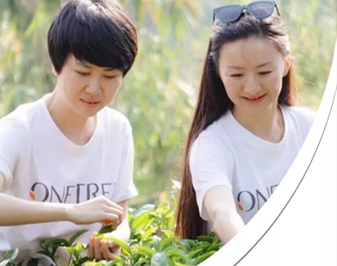  ONETREEʼˣ°T  նһڹ݅oĲɽṫcJRʮĺ|һ׶ȄJBƷONETREE°҂ġṫһ^Llǳ[Ԕ] 