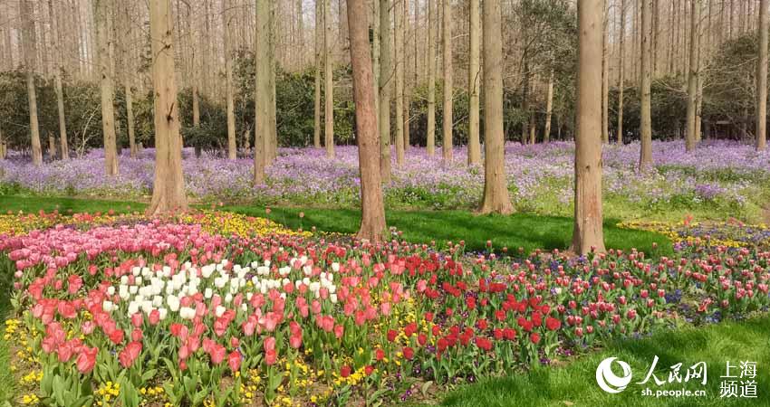 Ϻ_ĻfS㿴3