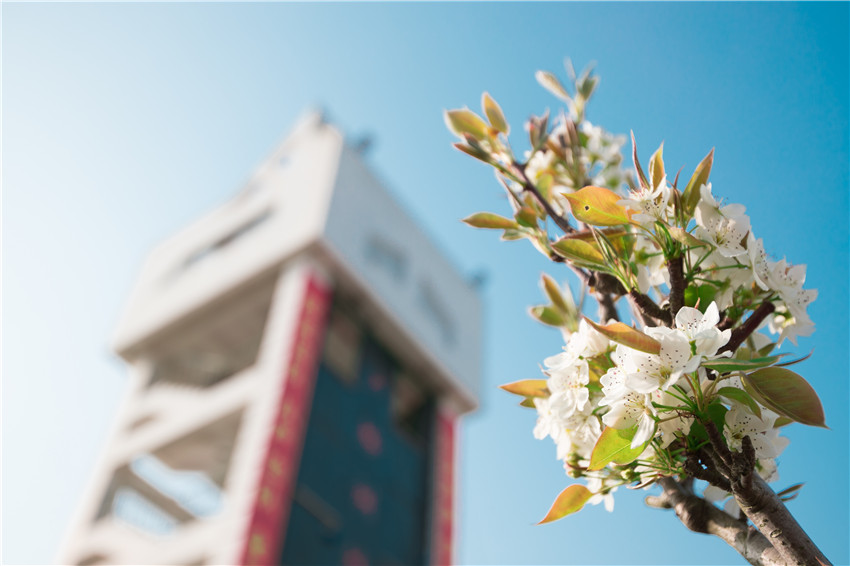 �Ϻ���ɽ�����»��_�o�����T��ʿ�o����Ӗ����ɫ�� ���w�z