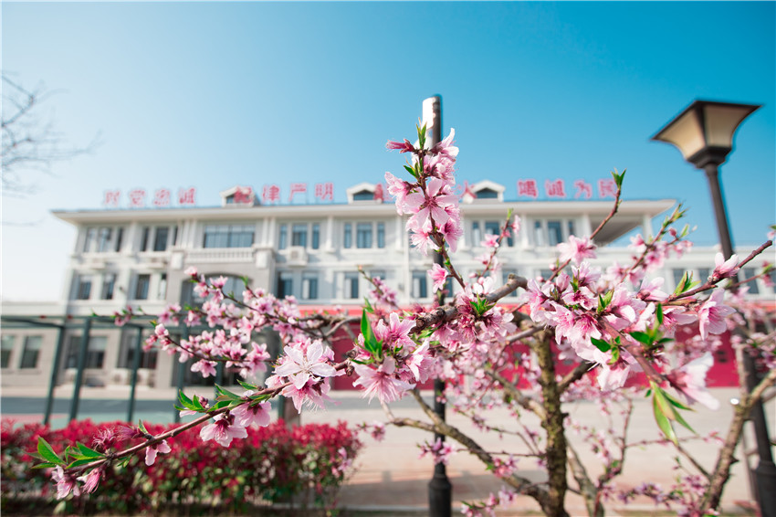 �Ϻ���ɽ�����»��_�o�����T��ʿ�o����Ӗ����ɫ�� ���w�z