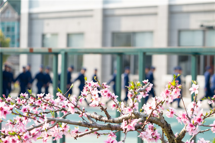 �Ϻ���ɽ�����»��_�o�����T��ʿ�o����Ӗ����ɫ�� ���w�z