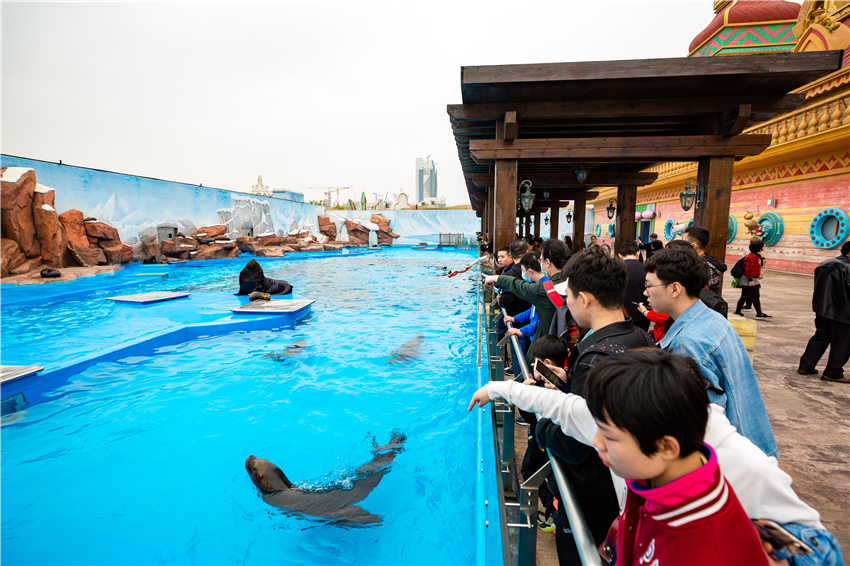 ����ª��Y��׌���ǵĺ���̽�غ���W��