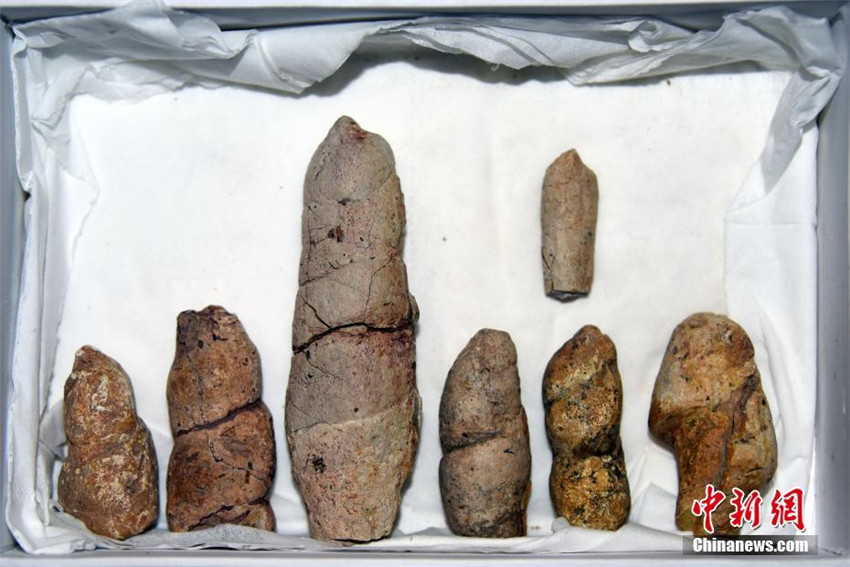 �п�Ժ�F��״��о������ɹŇ��s1.3�|��ǰ�S�㻯ʯ��2��