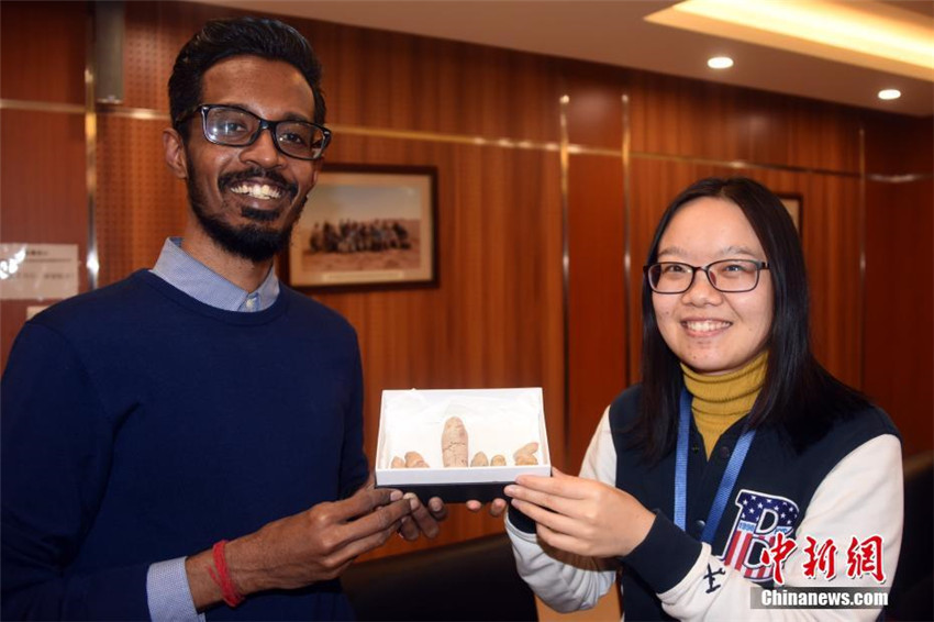 �п�Ժ�F��״��о������ɹŇ��s1.3�|��ǰ�S�㻯ʯ