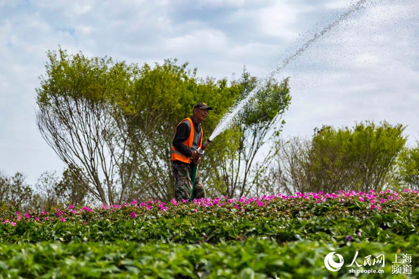 4��21�����Ϻ��������ˆT���ڵ�ʮ���Ї����ܲ��[���F�����oֲ��������W �����z