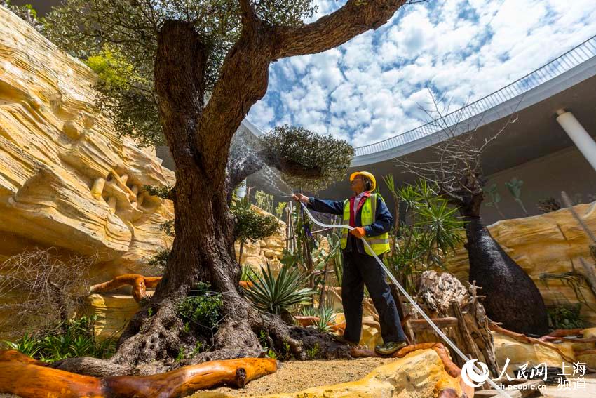 4��21�����Ϻ��������ˆT���ڵ�ʮ���Ї����ܲ��[���F�����o���Fֲ��������W �����z