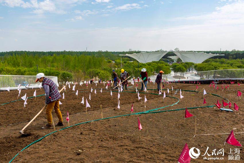 4��21�����Ϻ��������ˆT���ڵ�ʮ���Ї����ܲ��[�����o�^����������ʂ��M���r����չ������W �����z