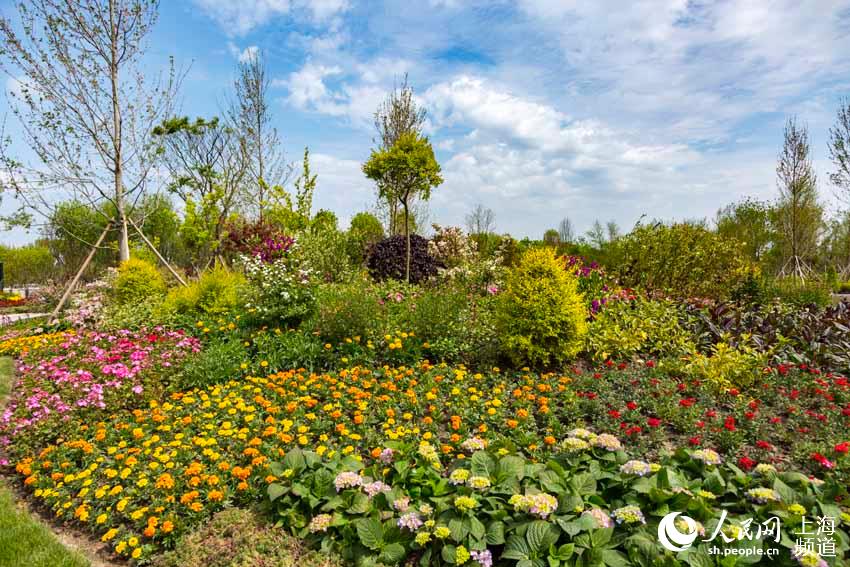 4��21�����Ϻ�����ʮ���Ї����ܲ��[��չ�^һ��������W �����z