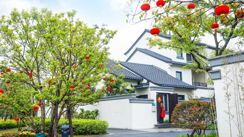 ׉ͥԺ¾ֵζ^Aͤ悹D