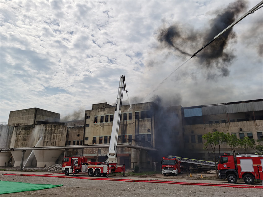 ϺeдȏSĺ¹ʑ̎Ìݾ tD