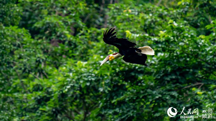 ���ڰ���Ϭ�B��������z