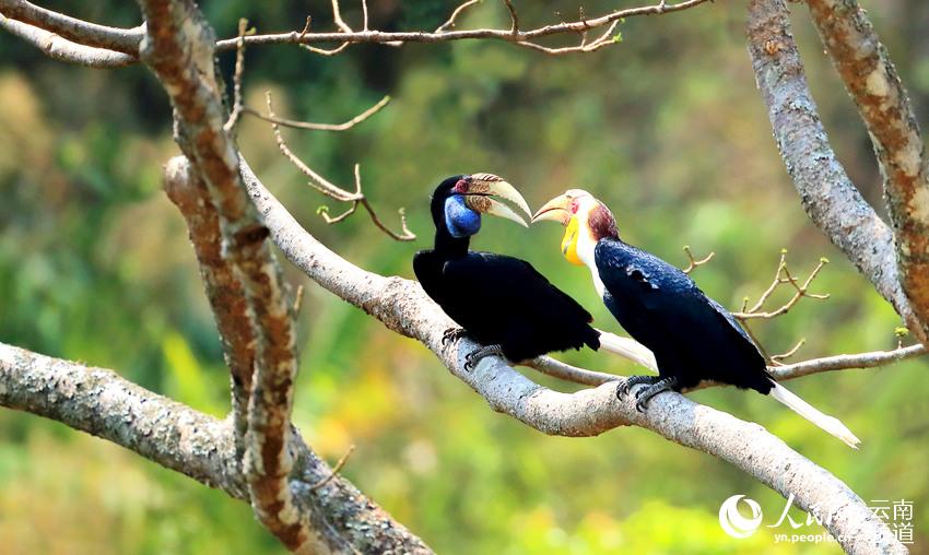 һ�����ڰ���Ϭ�B������z