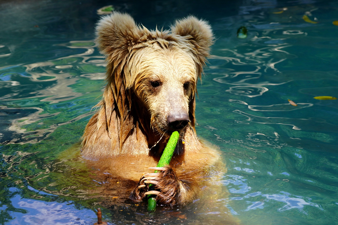 8��31�����Ϻ�����@��������ˮ���С��{������