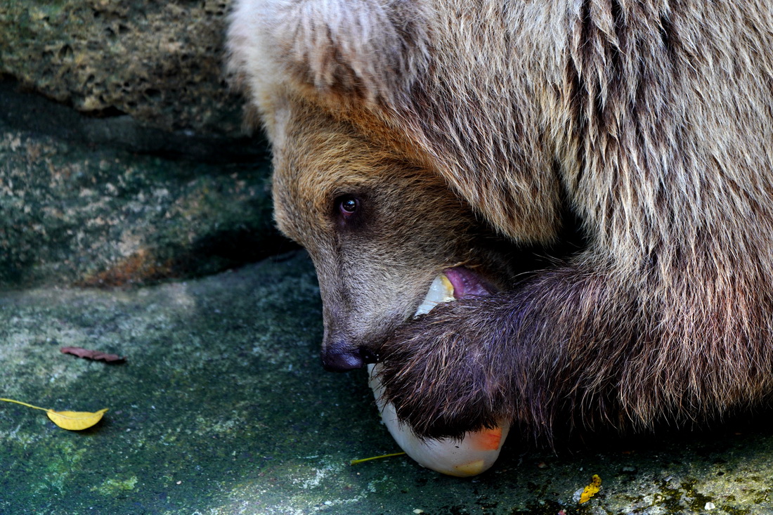 8��31�����Ϻ�����@�������ڳ�ˮ����������