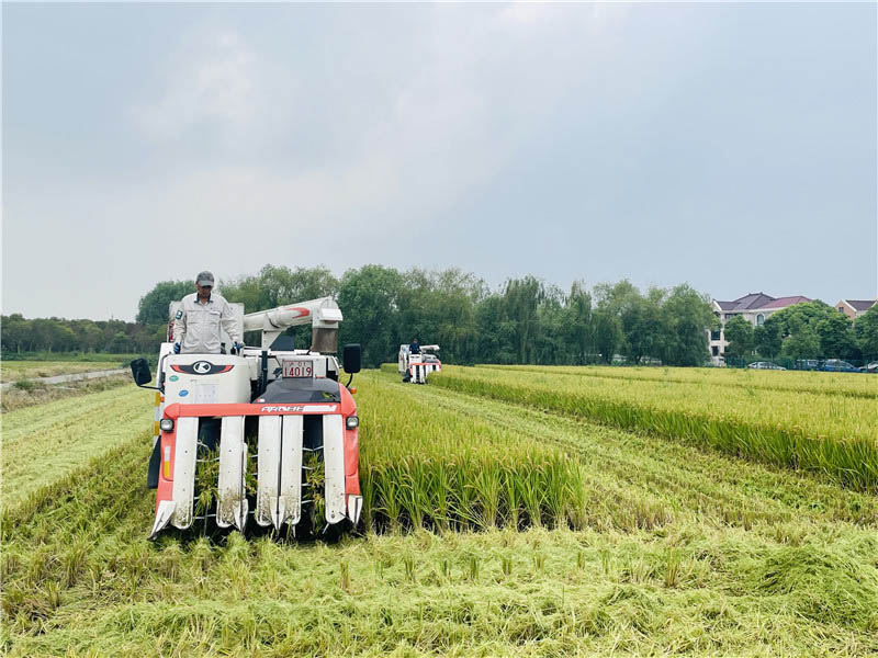 ��ɽ�絾���S�������㷼�z