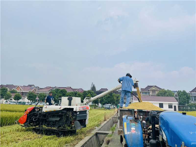 ��ɽ�絾���S�������㷼�z