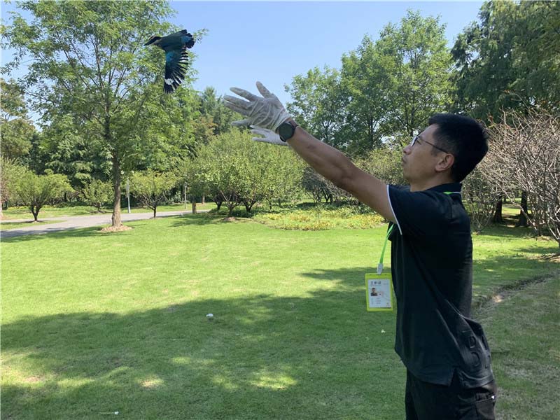 �ڴ��ƺ�Ͽ���ԇ�w���ƽݔz