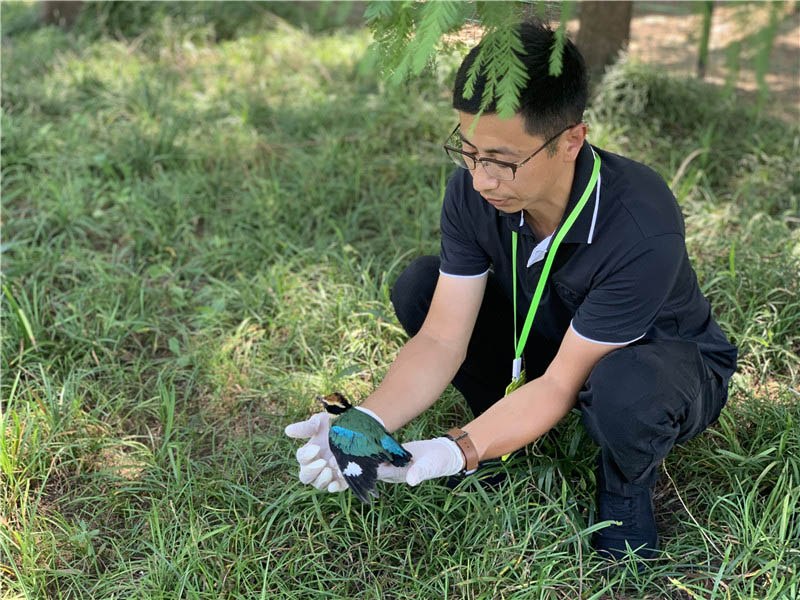 С�B�mȻ���w����]���κ΂������s�o���w�����ƽݔz