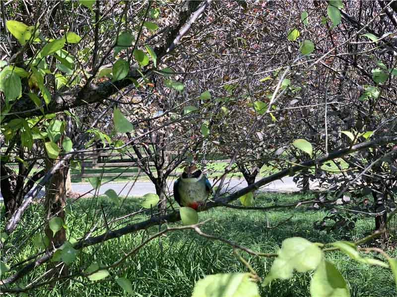 ��Ұ��ĭh������B���^����m��r���ƽݔz