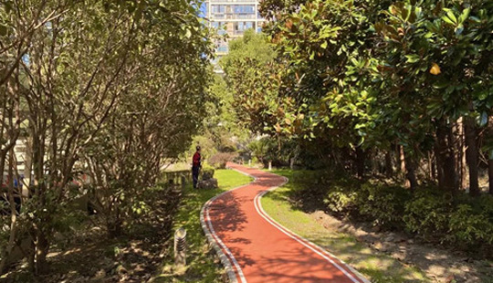 居民紛紛打卡！普陀這條“紅地毯”究竟有啥魅力？