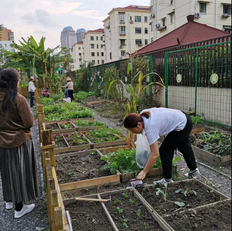 從“增強硬實力”到“提升軟實力”，“三師三顧問”助力打造人民城市幸福樣本五年來，楊浦區始終堅持黨建引領，充分發揮人民群眾的主體作用，不斷優化社會治理，探索建立“三師三顧問”協同治理機制，形成了“NICE2035未來生活原型街”、“睦鄰門”等一批可復制、可推廣的經驗做法，區域醫療衛生服務能力全面提升，人民群眾獲得感顯著增強，人民生活品質得到新躍升。在寸土寸金的中心城區，人口密度高，公共空間有限，如何不斷提升城區功能品質，打造具有人文氣息充滿活力的社區？楊浦的做法是——“破 圈”。
