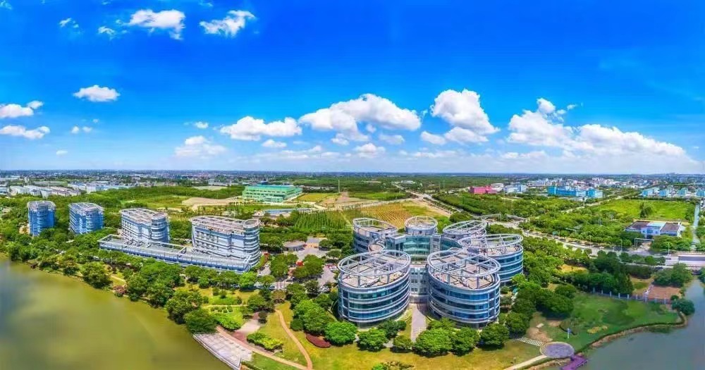 金山景色。上海金山微信公號圖