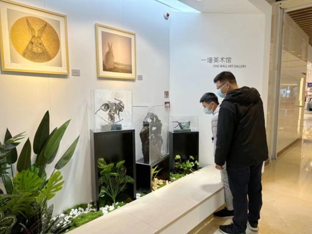 市民在“一墻美術館”的作品前駐足欣賞。 資料圖片