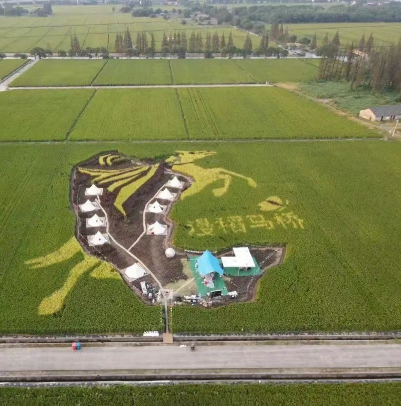 小積分釋放大能量，激活鄉村治理“一池春水”從“一旁看”轉向“一起干”，從“要我整治”變為“我要整治”，在創建鄉村治理積分制示范基地的上海閔行區馬橋鎮，將鄉村治理各項事務轉化為量化指標……[詳細]