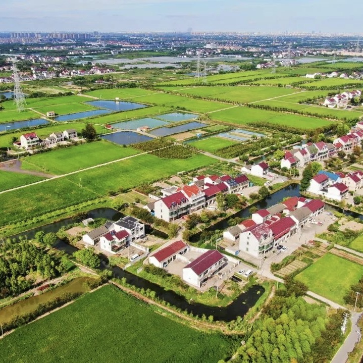 以“微”激活社區治理，聚集全齡“自治”大能量近年來，上海奉賢區金匯鎮黨委由宏觀處著眼、從細微處著手，全面推行基層社會“微治理”工作：以身邊小事為抓手，以村居民為主體，以全齡參與為核心……[詳細]