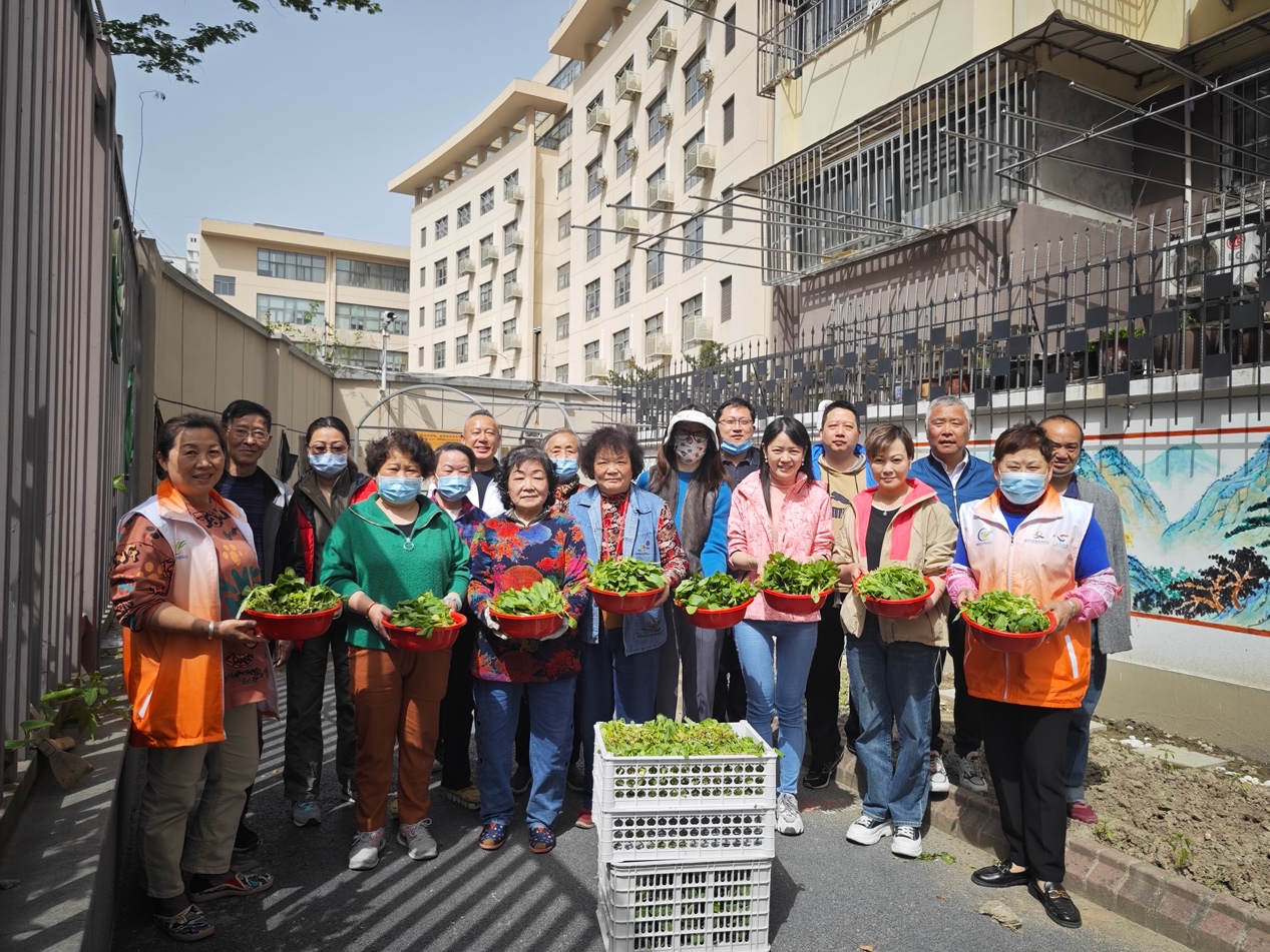 共享菜園合照。真如鎮街道供圖