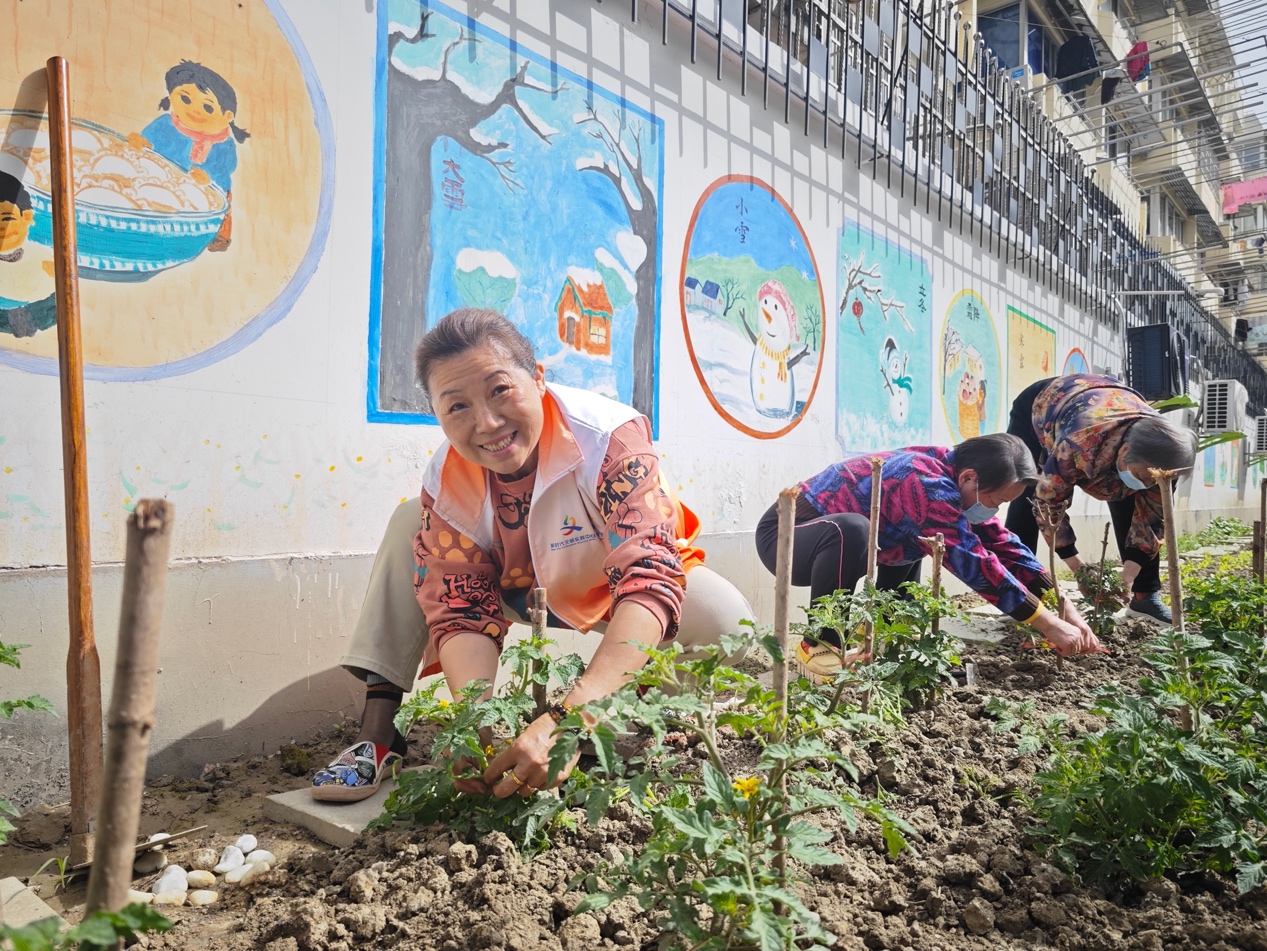 居民在共享菜園勞動。真如鎮街道供圖