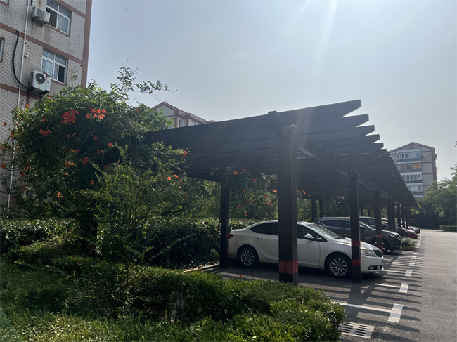 凌霄花架下的停車位。 人民網記者 王文娟攝