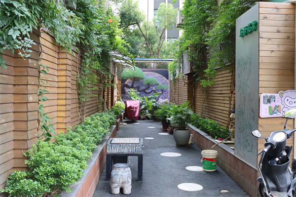 五里橋街道春江小區居民的巧思“點亮”幸福生活。 人民網金霄 攝