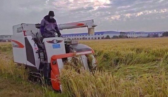 減量化耕地不斷整合優化助推土地資源高質量利用初見成效